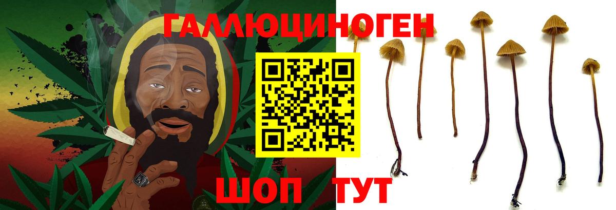 Псилоцибиновые грибы прущие грибы  Псилоцибиновые грибы Psilocybine cubensis  Вход с VPN  Магнитогорск 